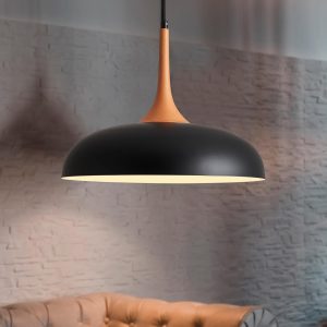 JINGXILANG32860 Pendant Light Entryway Included