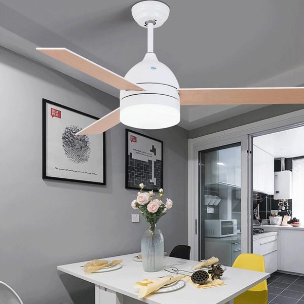 JINGXILANG32846 Electroplated Metal Acrylic LED Nordic Ceiling Fans with Lights